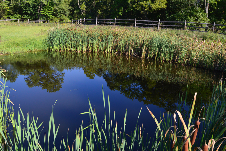 CAPTA trabaja en implementar soluciones a la crisis hídrica que se proyecta para Chile