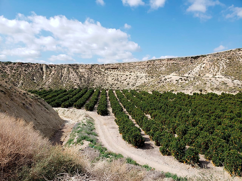 Claudio Sáez, investigador CAPTA: “La desalación podría cambiar sideralmente la situación hídrica que enfrentamos”